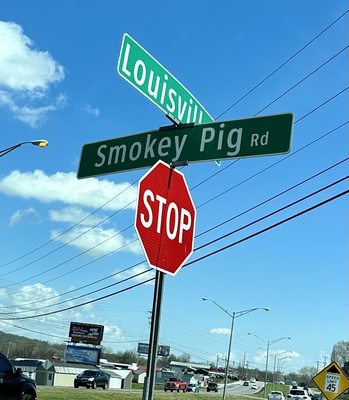 Smokey Pig Bar-B-Q by null