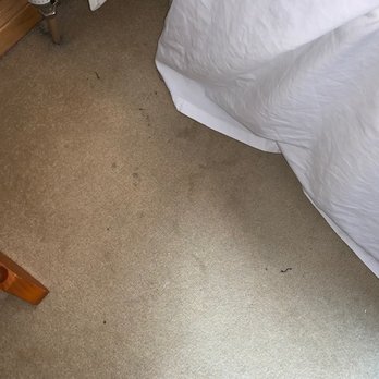 Hamilton House - More dirty carpets in bedrooms. - Guest Houses Near Me - Skerries, D