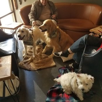 Brewheim Beer Makers - Bring the dogs. Clean, upscale, great atmosphere, fantastic beer. Great staff. - Breweries Near Me - Anaheim, California Brewheim Beer Makers - Bring the dogs. Clean, upscale, great atmosphere, fantastic beer. Great staff. - Breweries Near Me - Anaheim, California