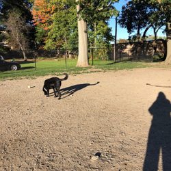 Beaver Brook Dog Park