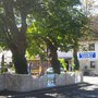 Photo of Restaurant Kavala