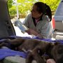 Photo of North Georgia Vet Referral Practice
