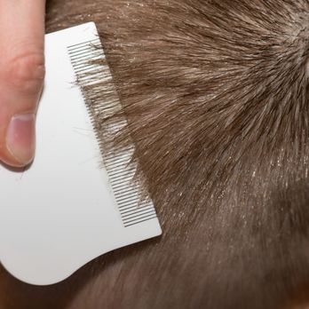 Organic Lice Guru - We use a metal professional grade comb that works much better than the pharmacy comb. - Lice Services Near Me Organic Lice Guru - We use a metal professional grade comb that works much better than the pharmacy comb. - Lice Services Near Me