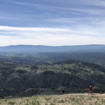 Grass Mountain & Lover's Loop - Yes this was the top - Hiking Near Me - Los Olivos, California