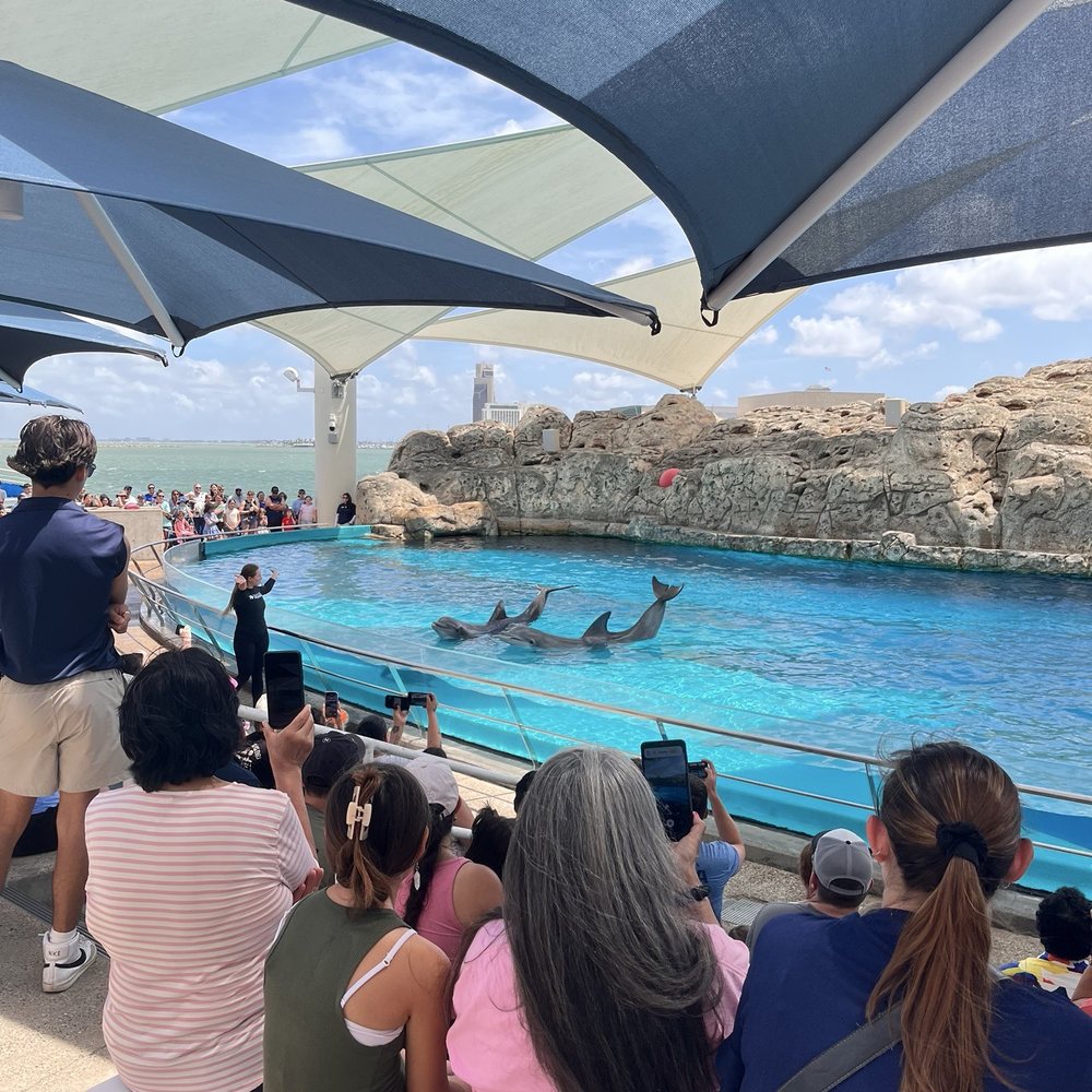 Texas State Aquarium - Aquariums Near Me - Corpus Christi, Texas Texas State Aquarium - Aquariums Near Me - Corpus Christi, Texas