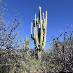 Spur Cross Ranch Conservation Area - Large