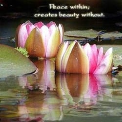Healing Thru Touch