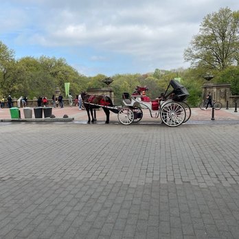 Central Park Conservancy - Parks Near Me - New York, New York Central Park Conservancy - Parks Near Me - New York, New York