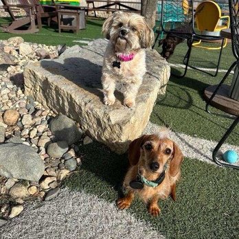 Omaha Dog Bar - Dog Parks Near Me - Omaha, Nebraska Omaha Dog Bar - Dog Parks Near Me - Omaha, Nebraska