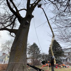 Tree Wise Men