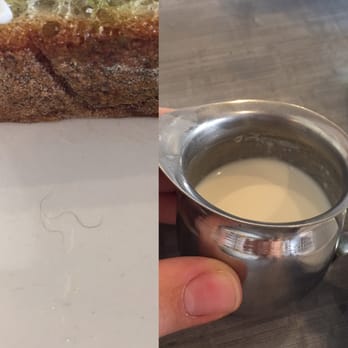 Salt and Iron - If you love old creamer and hair on your food this place is for you. - Seafood Near Me - Edmonds, Washington Salt and Iron - If you love old creamer and hair on your food this place is for you. - Seafood Near Me - Edmonds, Washington