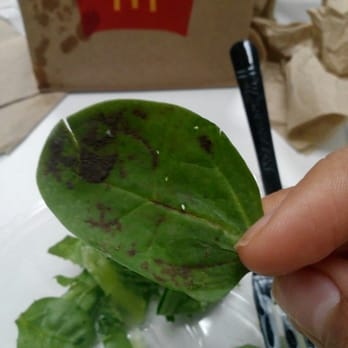 McDonald's - Can someone please tell me what this is!!? #gross - Burgers Near Me - Chula Vista, California McDonald's - Can someone please tell me what this is!!? #gross - Burgers Near Me - Chula Vista, California
