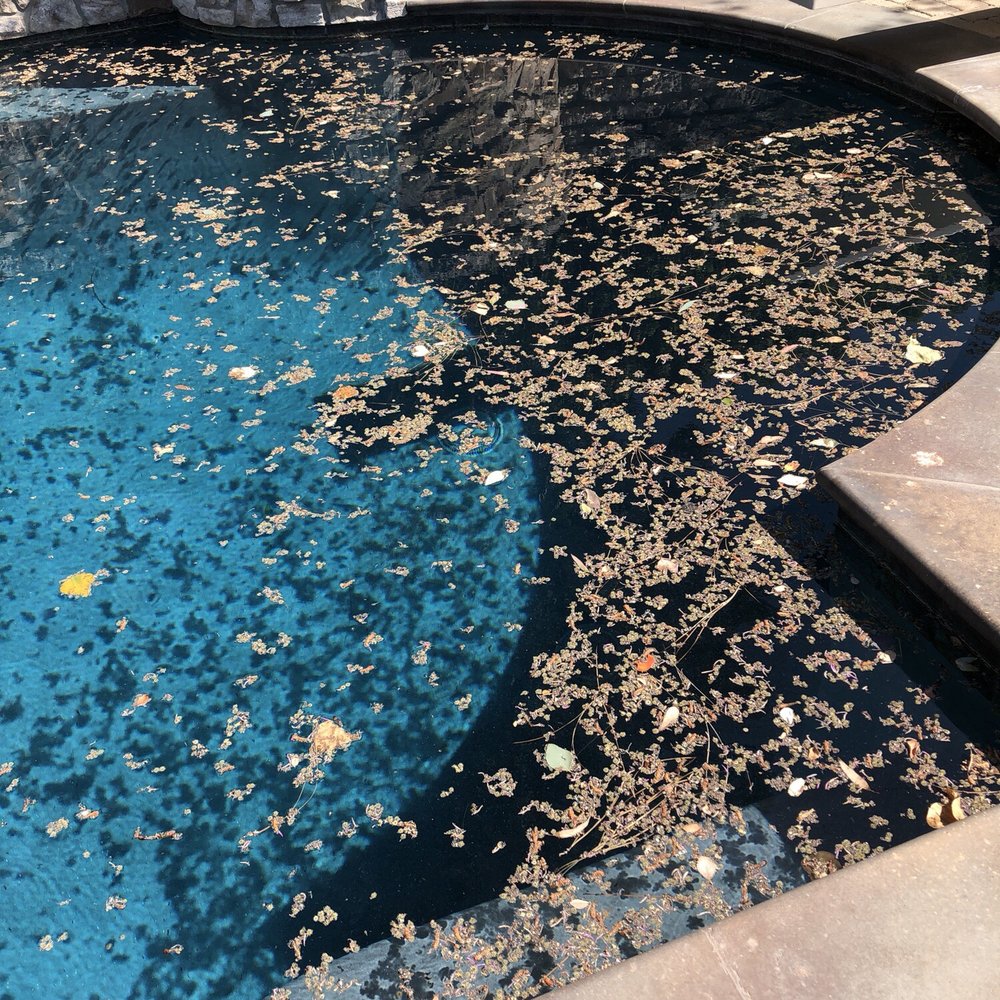 Morrison Pools - Winds destroyed pool - Pool Cleaners Near Me