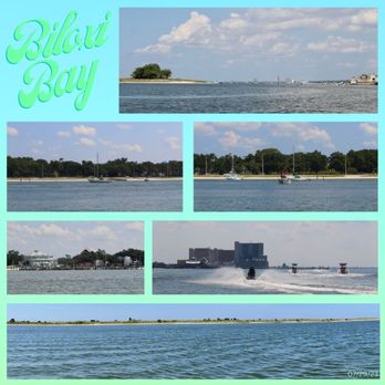 Shrimping Trip - Great views! - Fishing Near Me - Biloxi, Mississippi Shrimping Trip - Great views! - Fishing Near Me - Biloxi, Mississippi