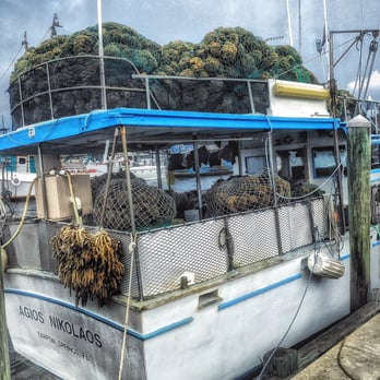Sponge Docks - Sponges galore! - Gift Shops Near Me - Tarpon Springs, Florida Sponge Docks - Sponges galore! - Gift Shops Near Me - Tarpon Springs, Florida
