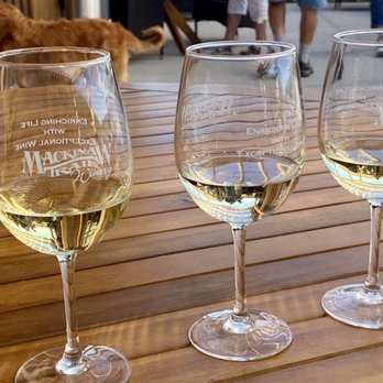 Mackinaw Trail Winery - a row of wine glasses - Wineries Near Me - Petoskey, Michigan Mackinaw Trail Winery - a row of wine glasses - Wineries Near Me - Petoskey, Michigan