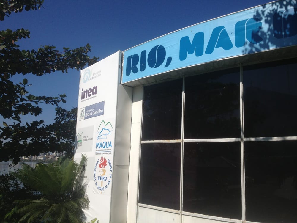 Rio, Mar E Golfinhos