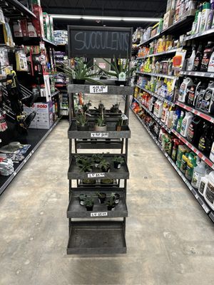 Chamblee Ace Hardware