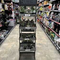 Chamblee Ace Hardware