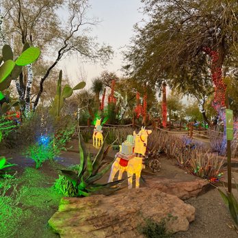 Ethel M Chocolates - Cactus botanical garden lights - Botanical Gardens Near Me - Henderson, Nevada Ethel M Chocolates - Cactus botanical garden lights - Botanical Gardens Near Me - Henderson, Nevada