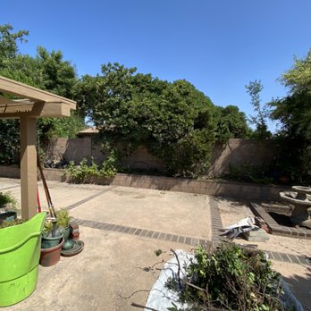 Rosales Tree Care & Landscape Development - BEFORE INSTALLATION - Tree Services Near Me - Encino , California Rosales Tree Care & Landscape Development - BEFORE INSTALLATION - Tree Services Near Me - Encino , California