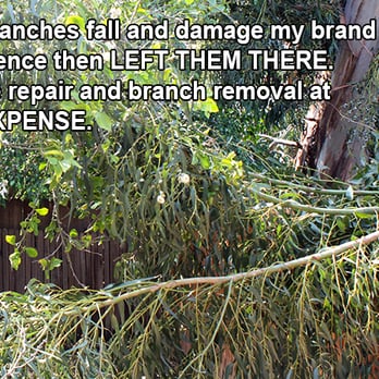 Tree King Tree Service - Branches were sawed off and allowed to drop freely into neighboring yards and fences, causing property damage, and left that way! - Tree Services Near Me - Los Angeles, California Tree King Tree Service - Branches were sawed off and allowed to drop freely into neighboring yards and fences, causing property damage, and left that way! - Tree Services Near Me - Los Angeles, California