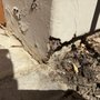Photo of Veterans Choice Home Inspections