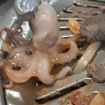 Mr. Kim Korean BBQ - Octopus - Korean Near Me - Aurora, Colorado