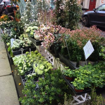 Le Studio - Étalage devant le magasin - Florists Near Me - Paris, 75