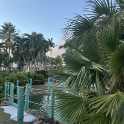 Palmetto Mini Golf