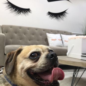 Omnia Spa - Eyelash Service Near Me - Philadelphia, Pennsylvania Omnia Spa - Eyelash Service Near Me - Philadelphia, Pennsylvania