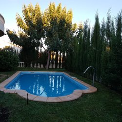 Kleber