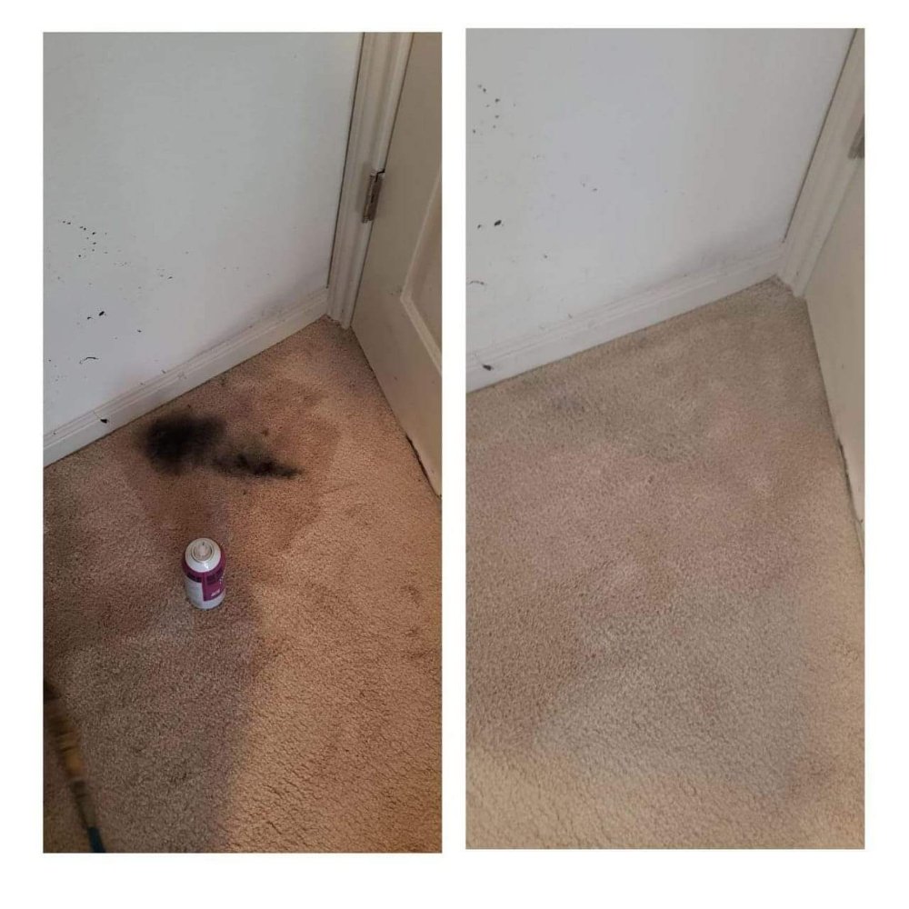 JG FLOORS AND CARPET CARE 27 Photos Memphis, Tennessee Carpet