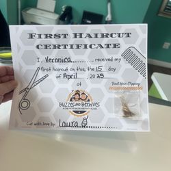 Buzzes and Beehives - It's official!