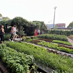 Rick Bayless' Garden Tour - Exploring the garden