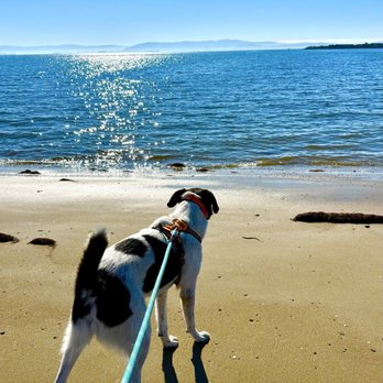 Alameda Beach - Beaches Near Me - Alameda, California Alameda Beach - Beaches Near Me - Alameda, California