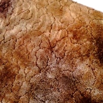 Millennium Floor Cleaning & Refinishing - 45 year old carpet- from black and matted to THIS! - Flooring Near Me - Long Beach, California