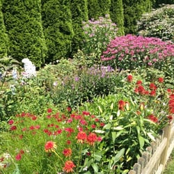 Perennial gardens maintained and installed.