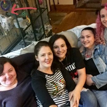 West End Animal Clinic - Christmas 2016 - Veterinarians Near Me - Beaumont, Texas West End Animal Clinic - Christmas 2016 - Veterinarians Near Me - Beaumont, Texas