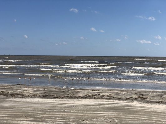 Sea Rim State Park by null