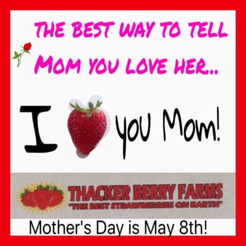 Thacker Berry Farms - Atlantic - Farmers Market Near Me - Long Beach, California Thacker Berry Farms - Atlantic - Farmers Market Near Me - Long Beach, California