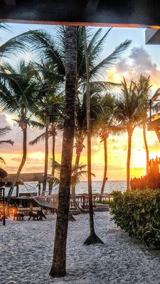 La Zebra Tulum, a Small Luxury Hotel by null