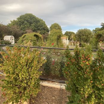 James P Kelleher Rose Garden - Along the outside perimeter fence @ The James P Kelleher Rose Garden Fall of 2020 - Parks Near Me - Boston, Massachusetts
