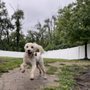 Photo of SaMammals