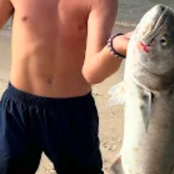 Cool Gear Fishing
