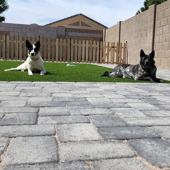 Brothers Gonzalez Landscaping - Dogs enjoying new backyard renovation by Brother's Gonzalez Landscaping - Landscaping Near Me Brothers Gonzalez Landscaping - Dogs enjoying new backyard renovation by Brother's Gonzalez Landscaping - Landscaping Near Me
