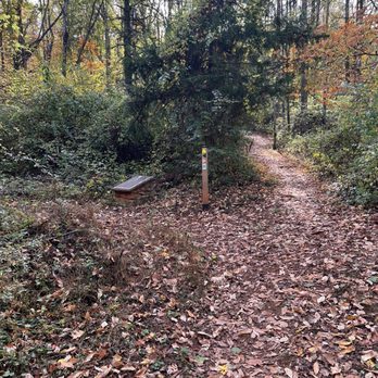 Saunders-Monticello Trail - Hiking Near Me - Charlottesville, Virginia