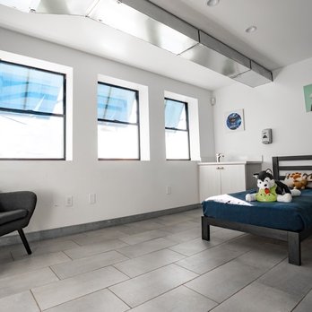 D Pet Hotels Arcadia - Pet Boarding Near Me - Phoenix, Arizona D Pet Hotels Arcadia - Pet Boarding Near Me - Phoenix, Arizona