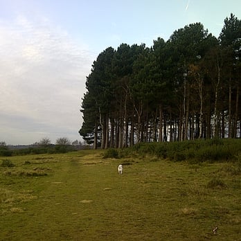 Sutton Park - Parks Near Me - Sutton Coldfield, XWM