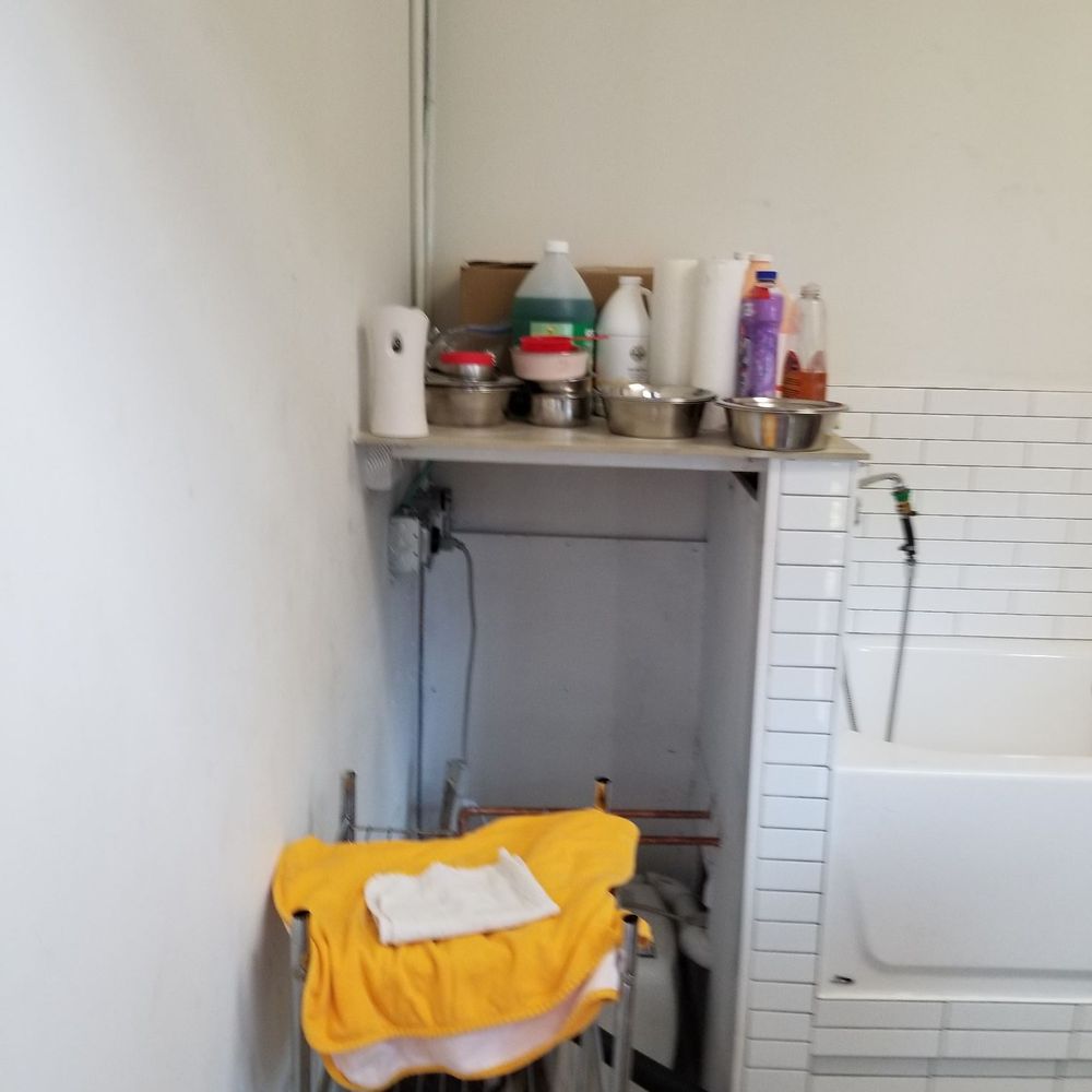 NYC Pet Services - Pet Groomers Near Me - Astoria, New York NYC Pet Services - Pet Groomers Near Me - Astoria, New York